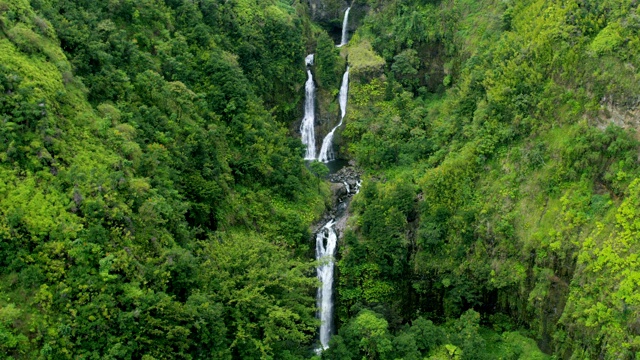 航空夏威夷观热带雨林，山谷，毛伊岛瀑布视频素材