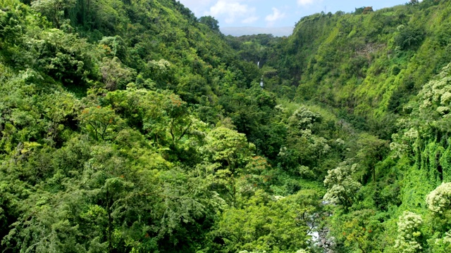 航空夏威夷观热带雨林，山谷，毛伊岛瀑布视频素材