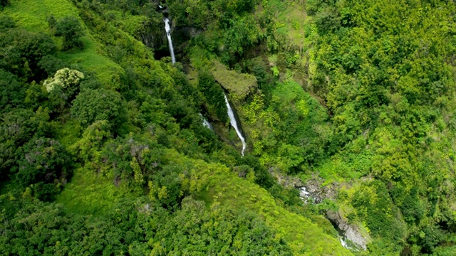 鸟瞰图热带雨林山谷瀑布毛伊岛美国视频素材