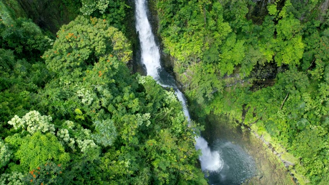 鸟瞰图热带雨林山谷瀑布毛伊岛美国视频素材