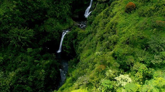 航空夏威夷观热带雨林，山谷，毛伊岛瀑布视频素材