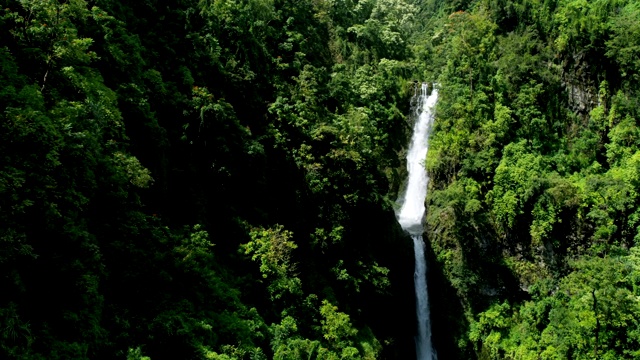 鸟瞰图热带雨林山谷瀑布毛伊岛美国视频素材