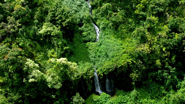 航空夏威夷的热带雨林，山谷瀑布毛伊岛视频素材