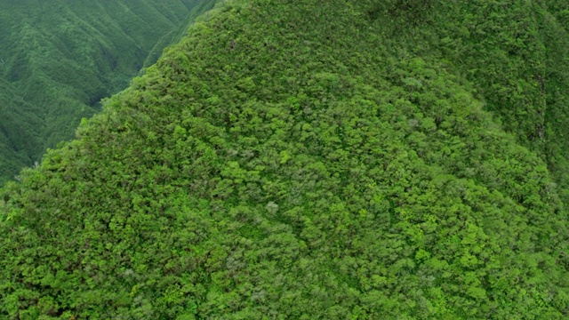 鸟瞰图毛伊山谷热带雨林美国视频素材