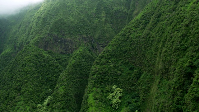 鸟瞰毛伊岛山谷热带雨林郁郁葱葱视频素材