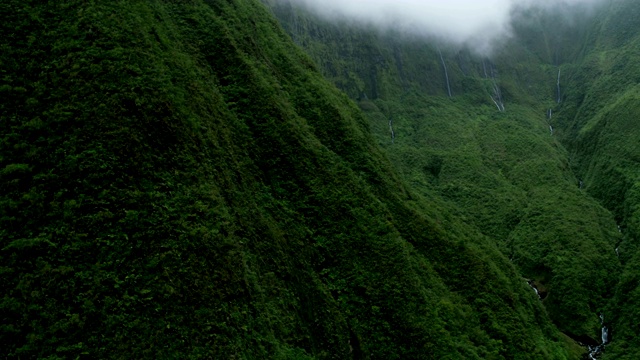 鸟瞰图热带雨林山谷植被茂盛毛伊岛美国视频素材