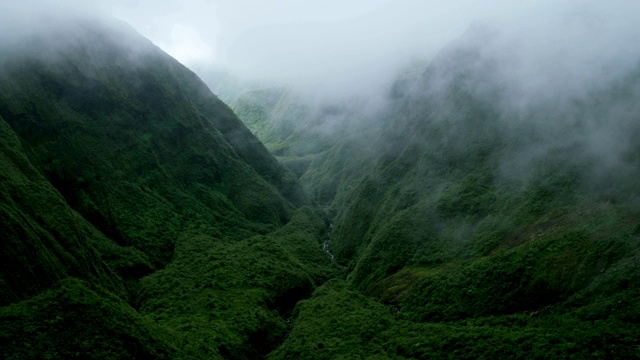 鸟瞰图热带雨林山谷植被茂盛毛伊岛美国视频素材