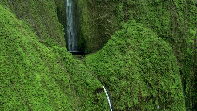 鸟瞰图瀑布热带雨林山谷毛伊岛夏威夷视频素材