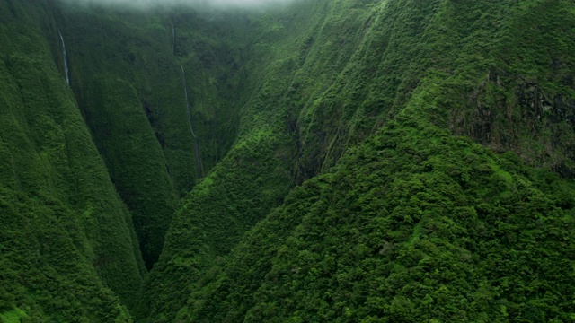 鸟瞰图热带雨林山谷瀑布毛伊岛美国视频素材