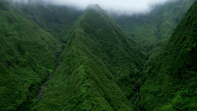 鸟瞰图热带雨林山谷植被茂盛毛伊岛美国视频素材