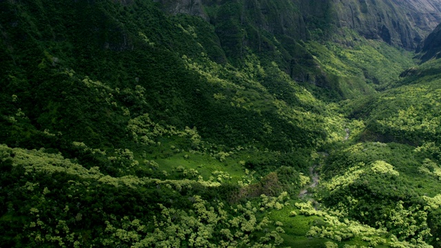 鸟瞰图火山悬崖山谷雨林毛伊岛视频素材