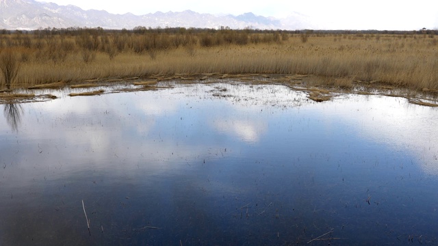 北京延庆野鸭湖湿地公园视频素材