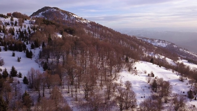 飞越山林视频素材