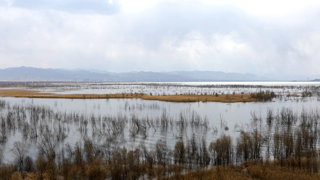 北京延庆野鸭湖湿地公园视频下载