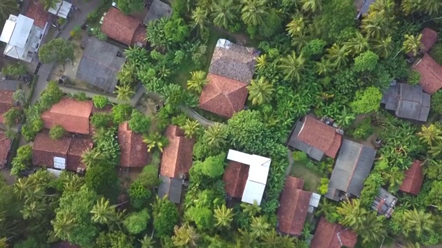 斯里兰卡的Koggala市。视频素材