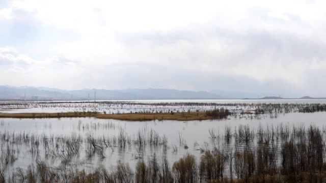 北京延庆野鸭湖湿地公园视频素材