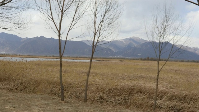 北京延庆野鸭湖湿地公园视频素材