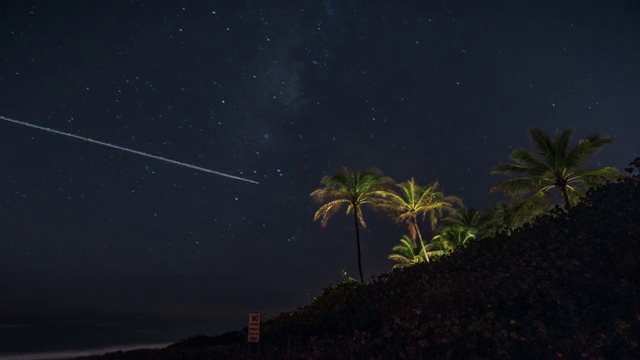 在夏威夷棕榈树上的星星时间流逝视频素材