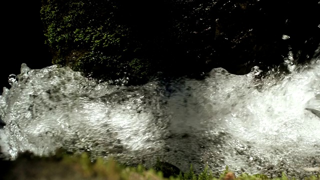 纯净的水从山泉中缓缓涌出视频素材