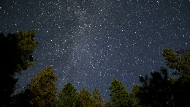 星星的时间在松树上流逝视频素材