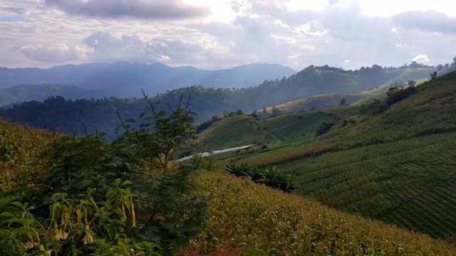 云雾和山地景观，蒙贾姆山，清迈，泰国视频素材