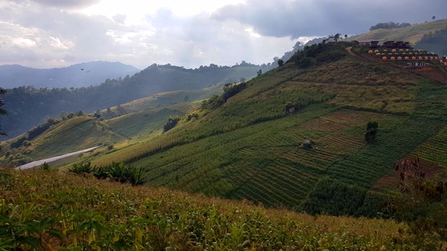 云雾和山地景观，蒙贾姆山，清迈，泰国视频素材