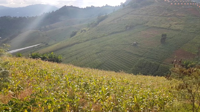 云雾和山地景观，蒙贾姆山，清迈，泰国视频素材