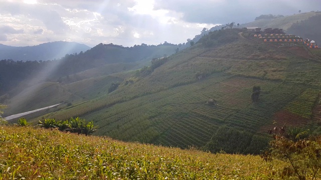 云雾和山地景观，蒙贾姆山，清迈，泰国视频素材