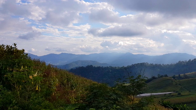 云雾和山地景观，蒙贾姆山，清迈，泰国视频素材