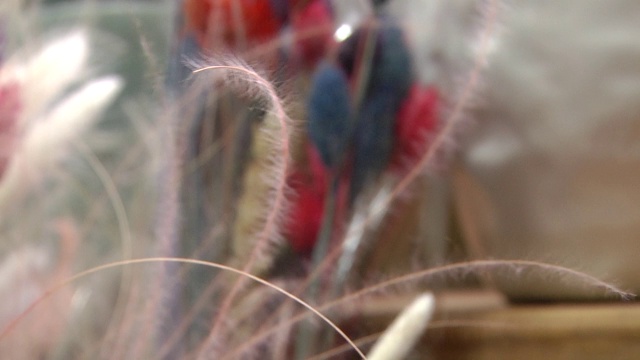 一束干燥的彩色花。花组成。一束红蓝相间的干花。视频素材画面4