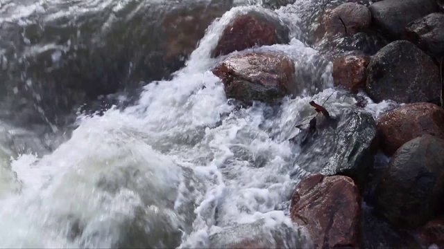 小溪中的水流，在岩石上快速流动视频素材