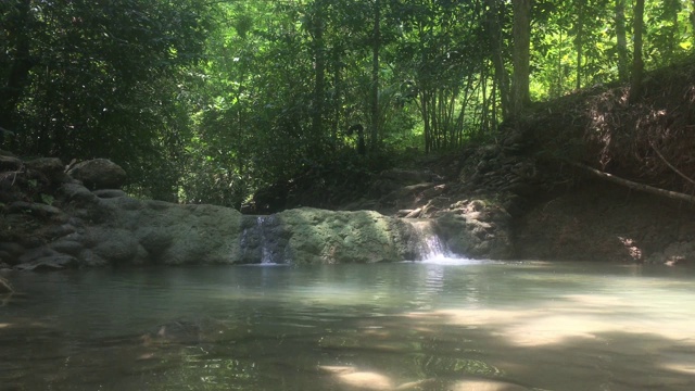 热带山地河流视频素材