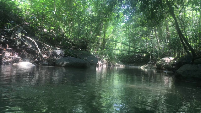 热带山地河流视频素材