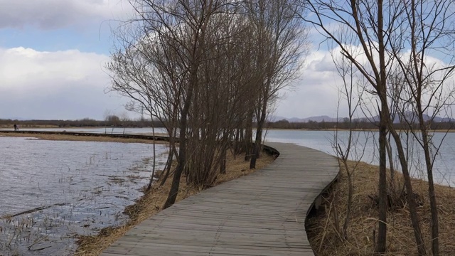 北京延庆野鸭湖湿地公园视频素材