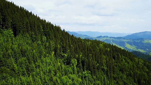 飞过高山和野生森林视频素材