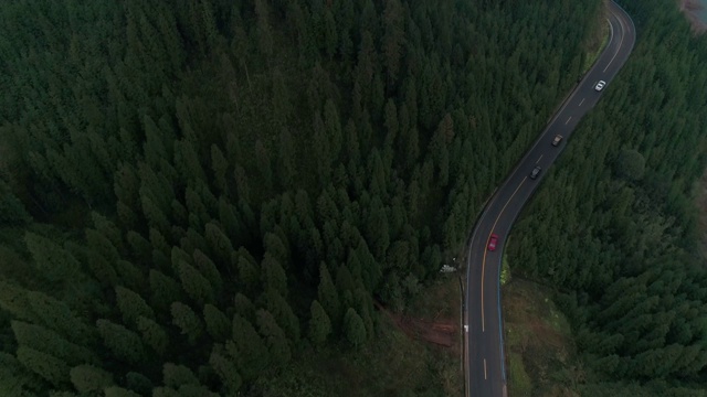 从空中俯瞰森林中蜿蜒的道路上的四辆汽车，4k视频素材