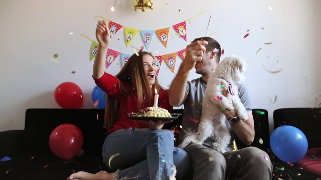 年轻夫妇庆祝宠物生日。马耳他狗的生日派对视频素材