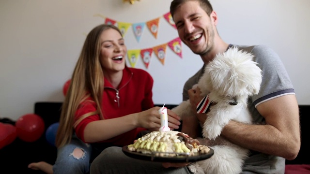 年轻夫妇庆祝宠物生日。马耳他狗的生日派对视频素材