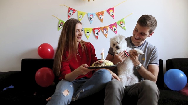 年轻夫妇庆祝宠物生日。马耳他狗的生日派对视频素材