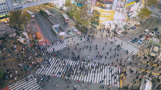 东京涩谷市行人交通视频素材