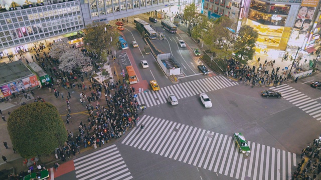 东京涩谷市行人交通视频素材