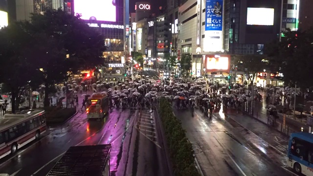 涉谷区的雨夜人行横道上挤满了行人。东京,日本。间隔拍摄视频素材