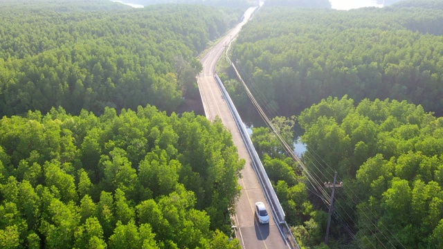 鸟瞰图的当地公路旅行与常青树在萨顿省，泰国视频素材