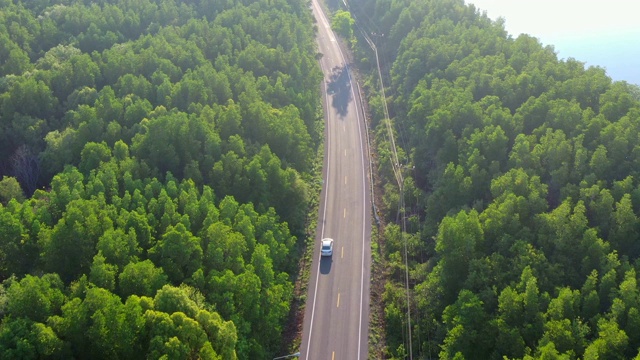 鸟瞰图的当地公路旅行与常青树在萨顿省，泰国视频素材