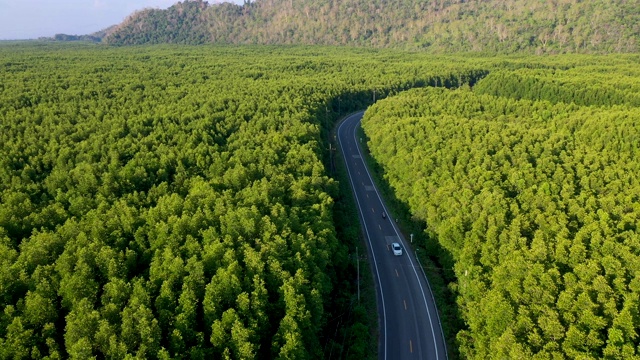 鸟瞰图的当地公路旅行与常青树在萨顿省，泰国视频素材