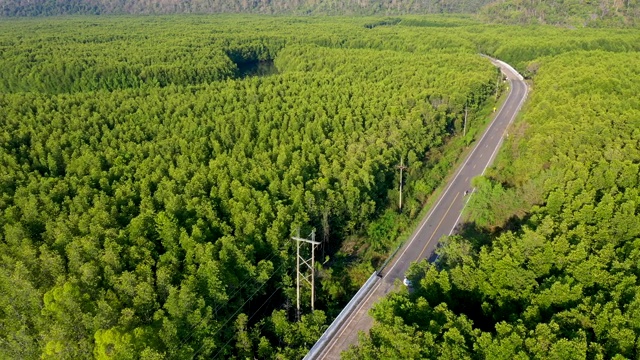 鸟瞰图的当地公路旅行与常青树在萨顿省，泰国视频素材