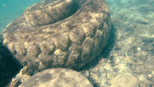 垃圾在海里。海洋污染视频素材