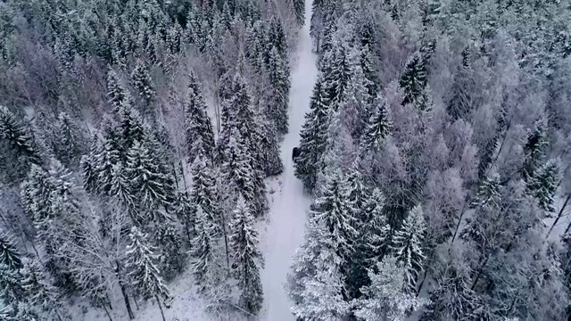 一辆汽车在爱沙尼亚白雪覆盖的森林中行驶的鸟瞰图。视频素材