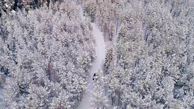 一辆汽车在爱沙尼亚白雪覆盖的森林中行驶的鸟瞰图。视频素材