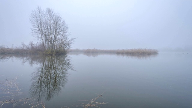 德国黑森州莱因海姆市冬天雾气蒙蒙的早晨，莱因海姆湖视频素材